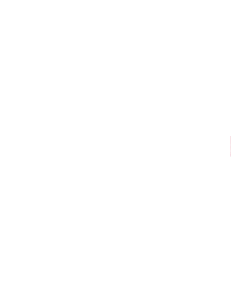 PT Daya Riksa Mandiri